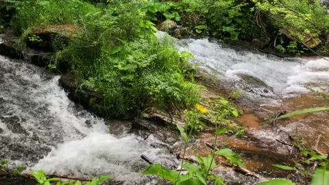 River Stock Footage 169104213