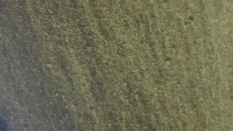 River Video stock 169687985