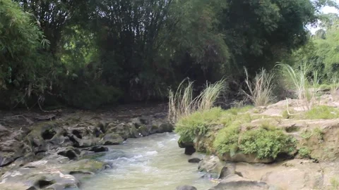 River 動画素材 172211015