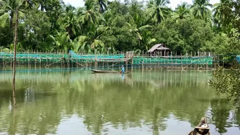 River Stock Footage 197061898