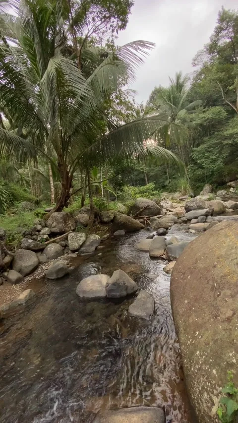 River Video stock 198358926