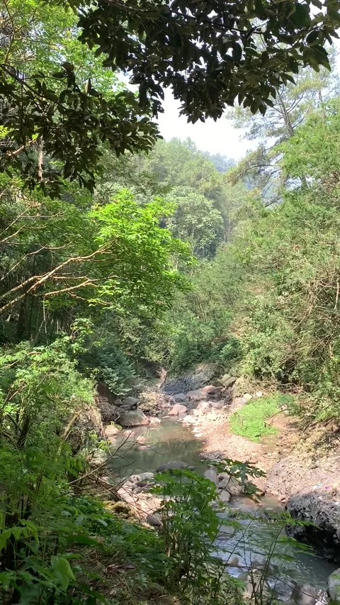 The river Stock Footage 208612928