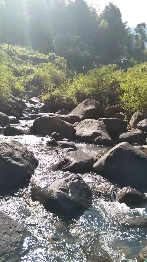 River Stock Footage 211218307