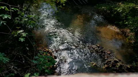 River Stock Footage 215322072