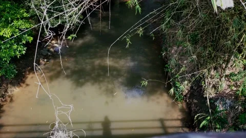 River Stock Footage 215324551