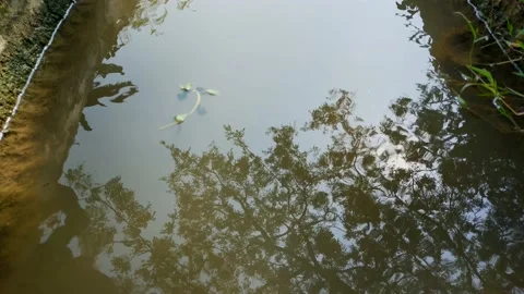 River Stock Footage 215327715
