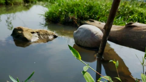 River Stock Footage 215329845
