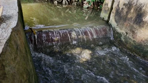 River Stock Footage 215514593