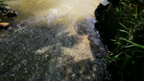 River Stock Footage 215514607