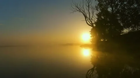 By the River 스톡 동영상 219684090