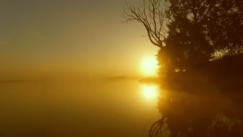 By the River 스톡 동영상 219730176