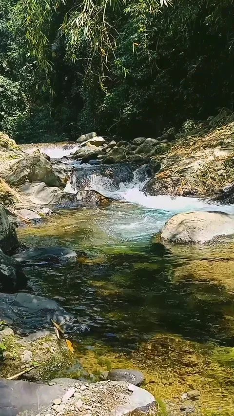 The river Stock Footage 223882120