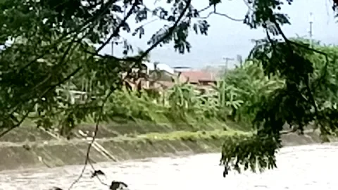 River Stock Footage 227468042