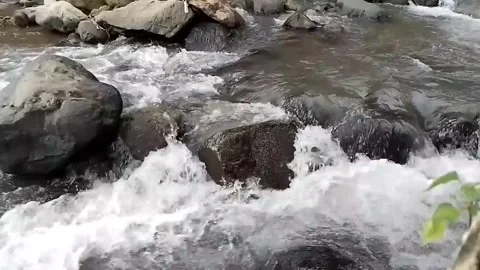 River Stock Footage 227844901