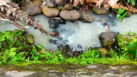 River Stock Footage 233317751