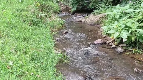 River Stock Footage 234539394