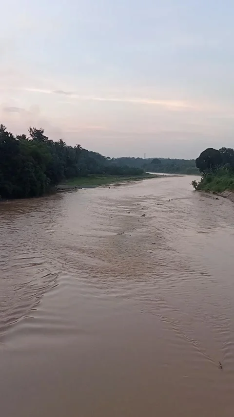 River Stock Footage 242047719