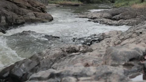 River Stock Footage 245495154