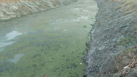 River Video stock 246870036