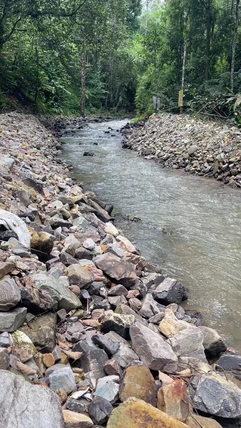 River Stock Footage 272303833