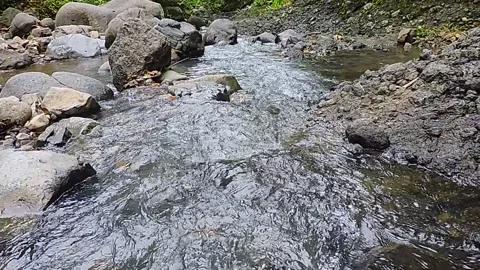 River Stock-Footage 279482110