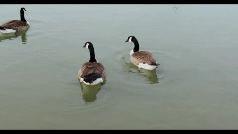 River Stock Footage 307853611