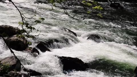 River 動画素材 308433216