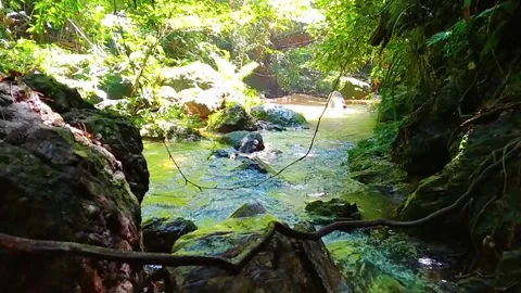 The River 스톡 동영상 313118194