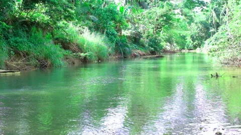 River Video stock 323780280