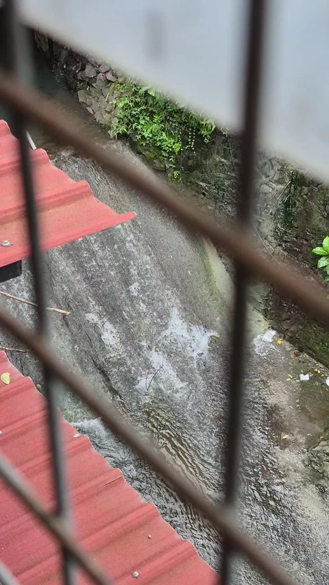 The river Stock Footage 327336497