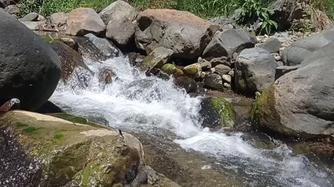 River Video stock 330208599