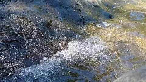 River Stock Footage 330208739