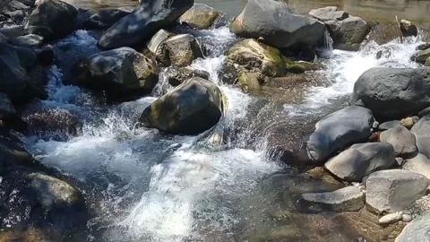 River Video stock 330208987