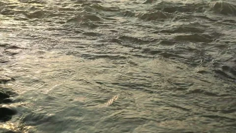 River 库存影片 336469886
