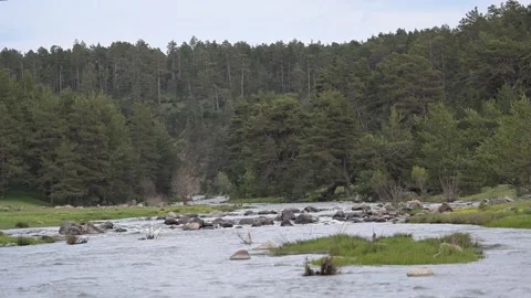 River Stock Footage 340645858