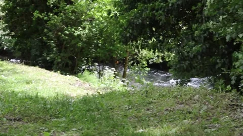 River Stockbeeldmateriaal 341275209