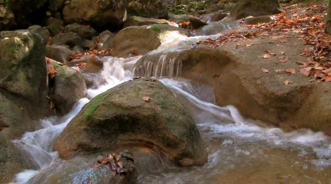 River in forest 01 HD 動画素材 577517