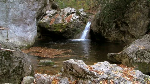 River in forest 02 HD Stock Footage