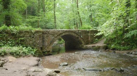 River In Forest 02 Stock Photos