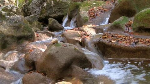 River in forest 03 HD 動画素材 577593