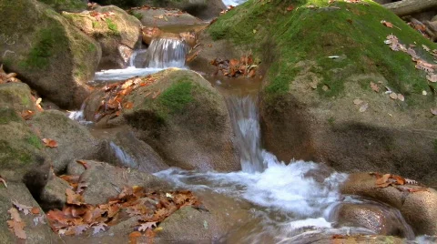 River in forest 04 HD Stock Footage 577632