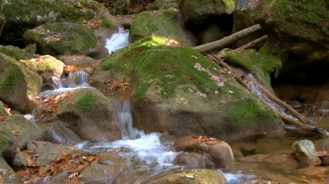 River in forest 05 HD Stock Footage 577659