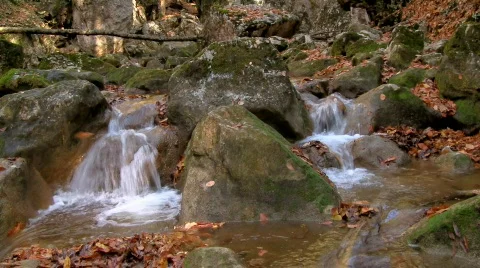 River in forest 06 HD 動画素材 577906