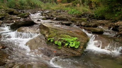 River in forest 09 HD 動画素材 578446