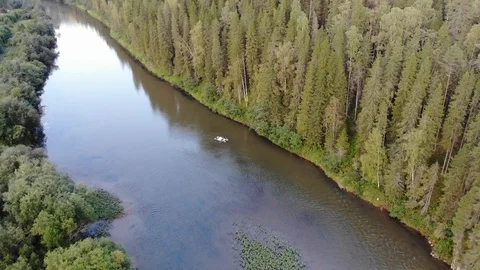 River forest 1 Stock Footage 99818003