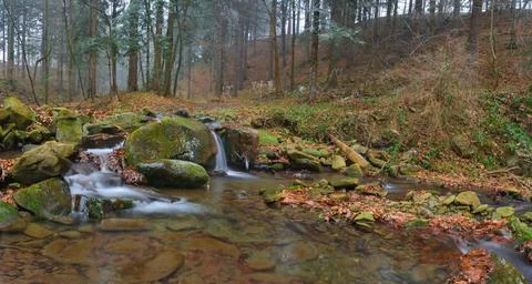 River in the forest 2 Stock Photos