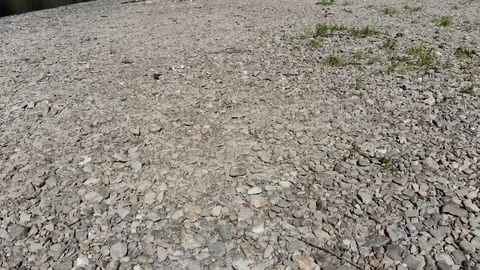 River forest 5 Stock Footage 99818147