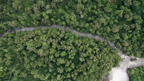 River forest from above Stock Footage 248868677