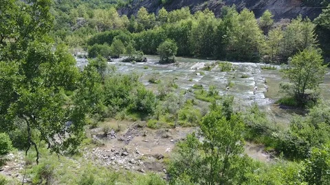 River forest aerial Stock Footage 99021766