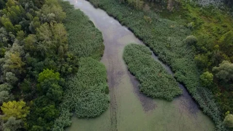 River in Forest Aerial View Stock Footage 157727699